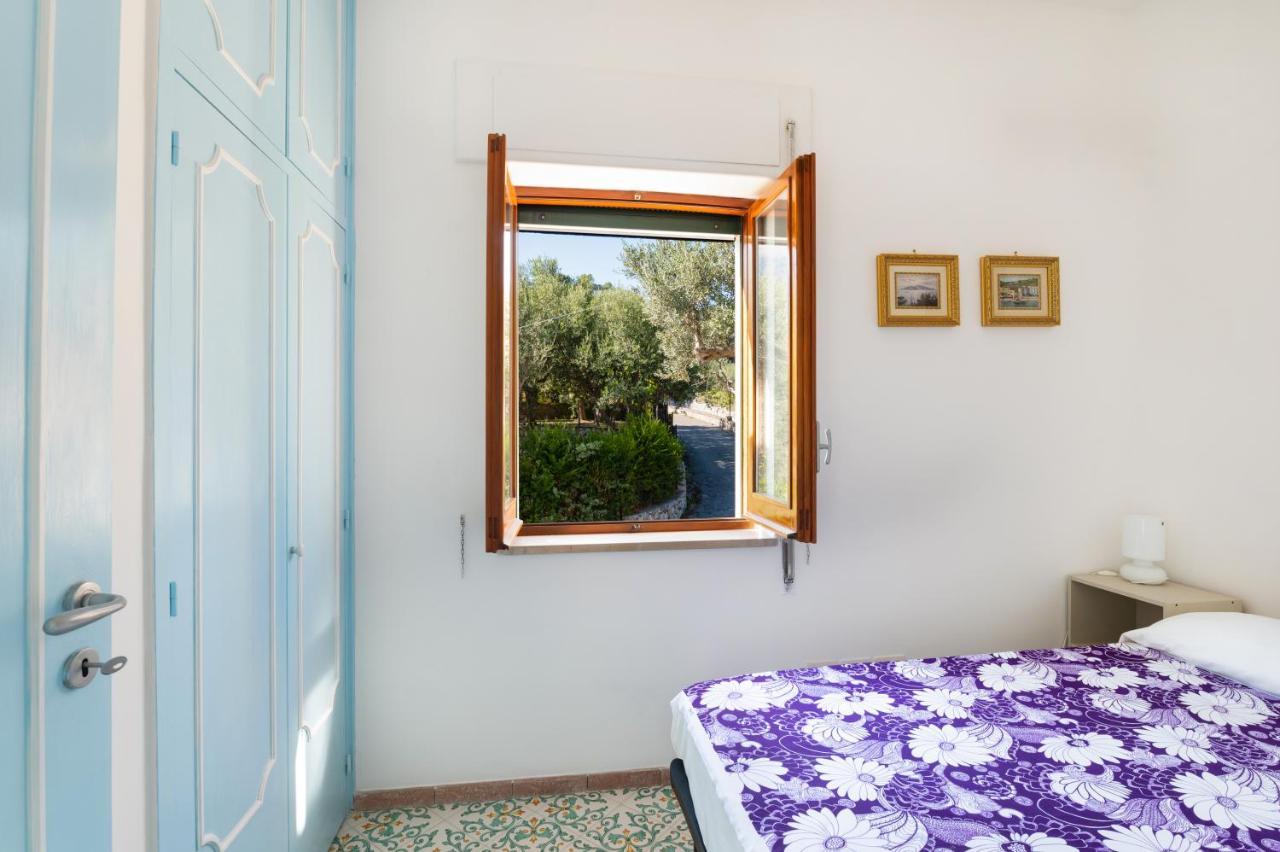Main Roof Terrace Apartment Nerano Exterior foto